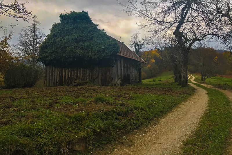Brod Moravice